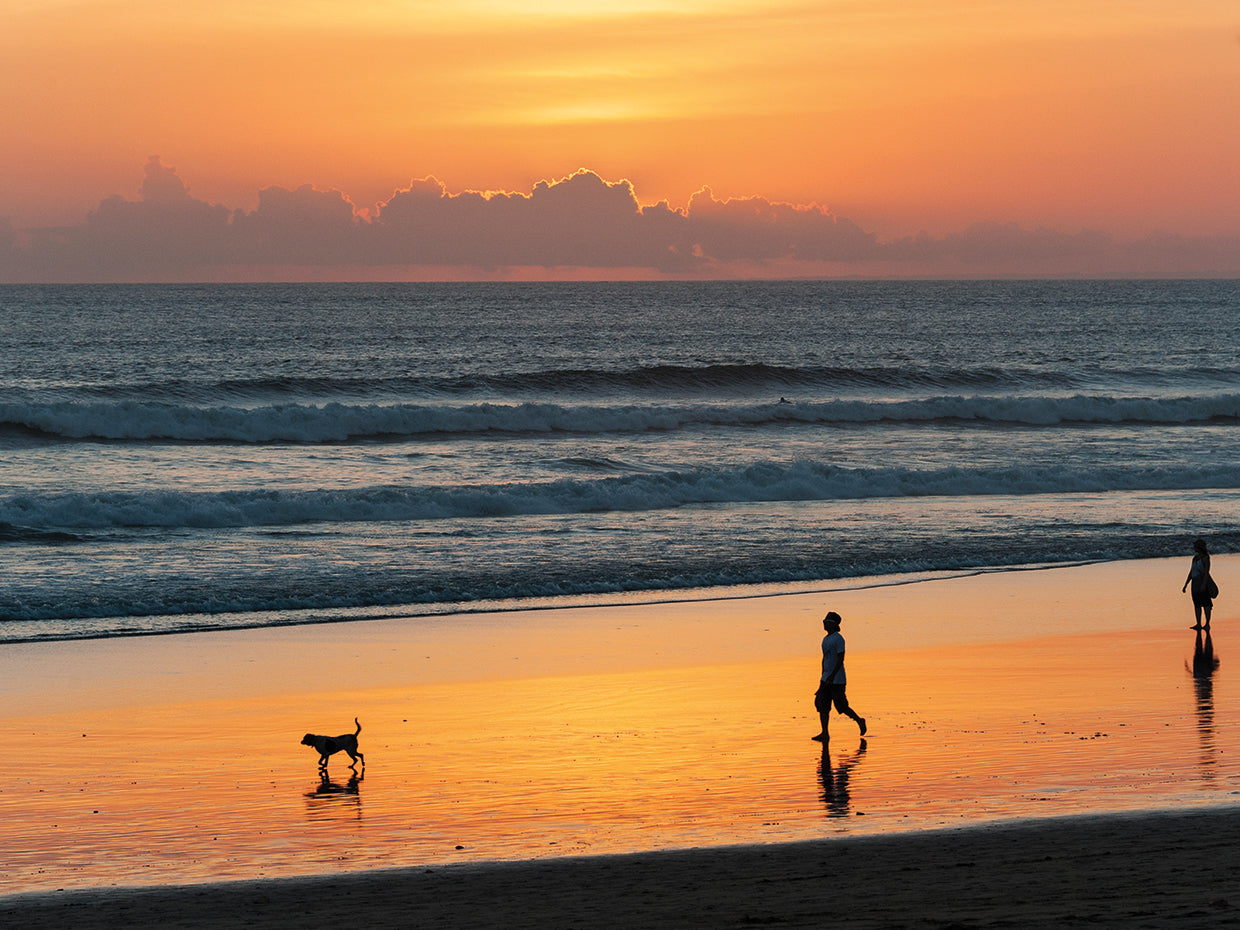 Bali Beach Walkers