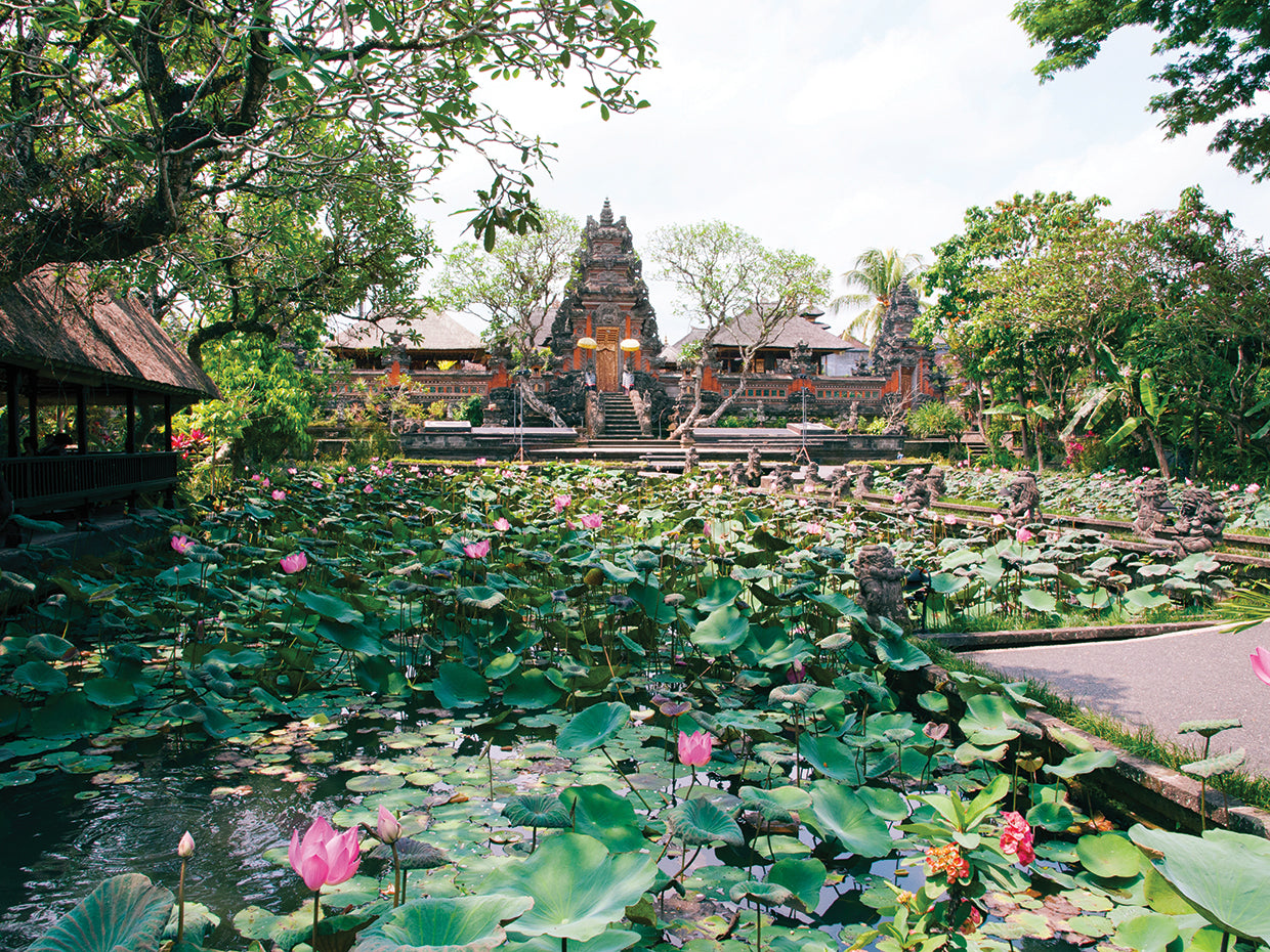 Bali Blooms Pond