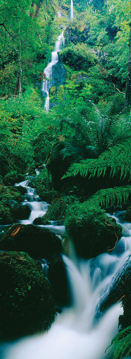 English Emeralds Forest