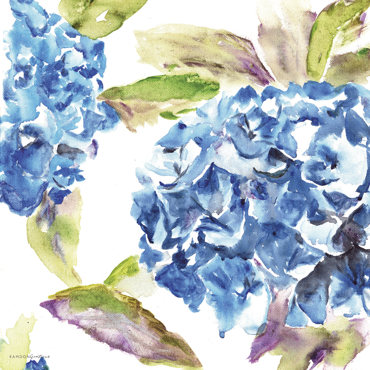 Hydrangea