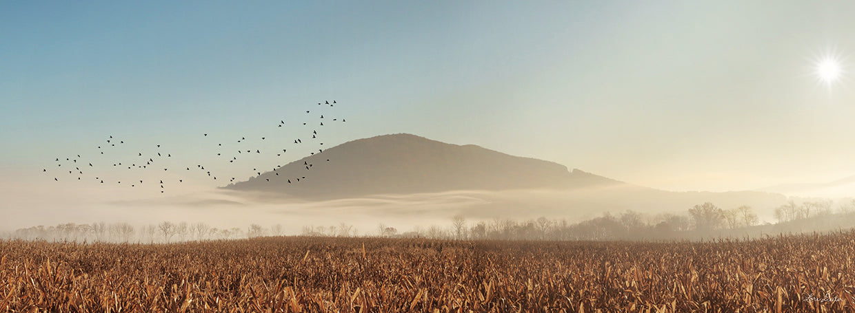 Rakers Mill Road Sunrise