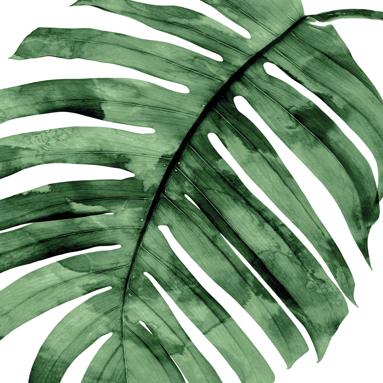 Tropical Green Palm II