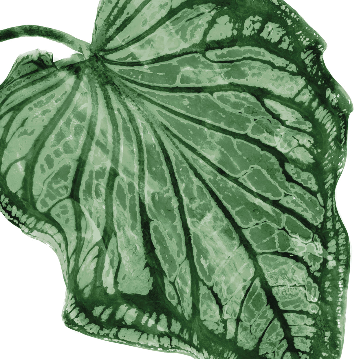 Tropical Green Palm III