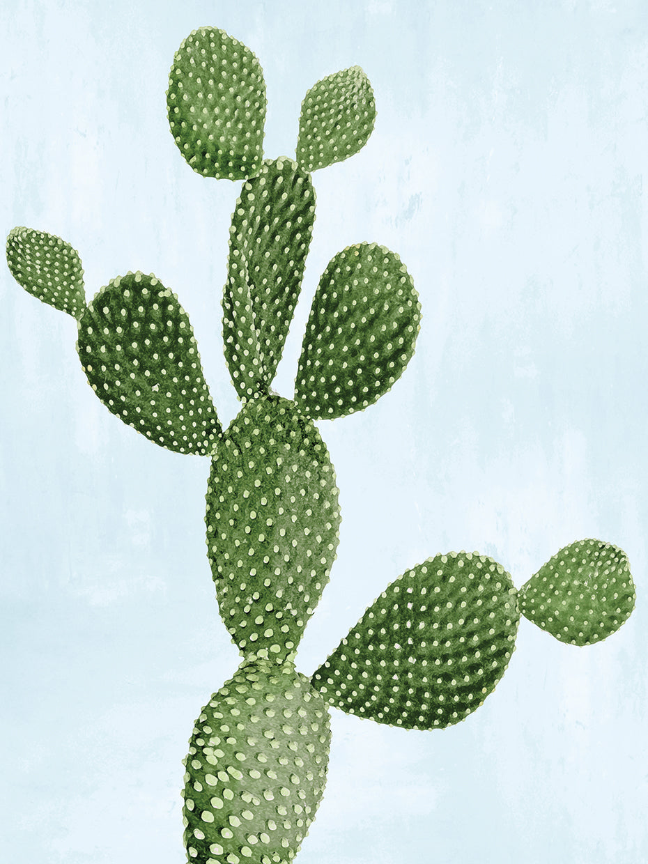 Cactus on Blue VII