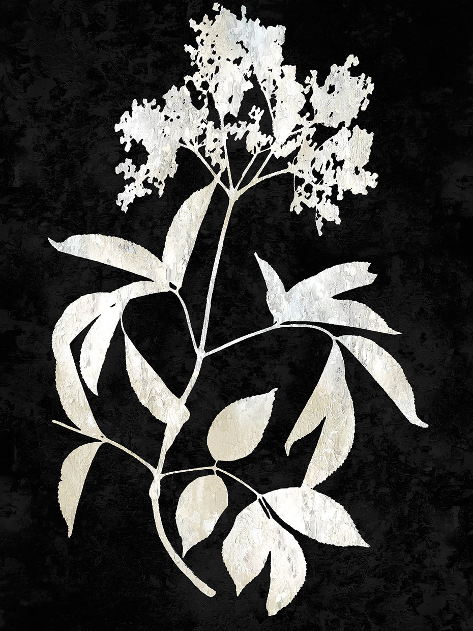 Nature White on Black V