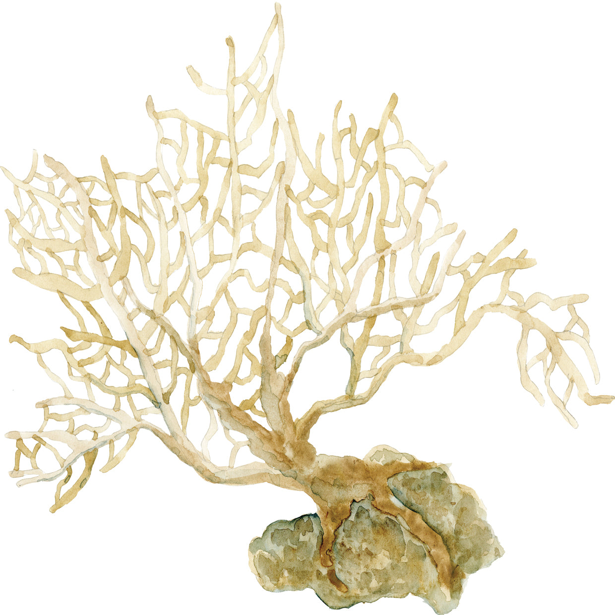 Indigo Ocean - Coral