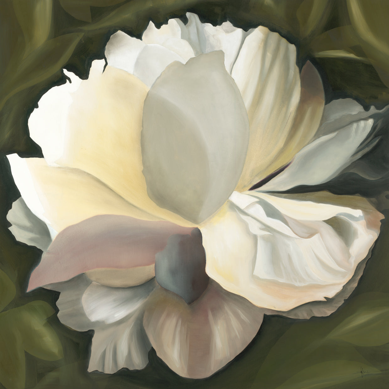 PEONY STUDY 6