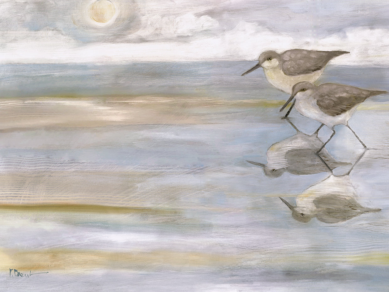 Sunlight Reflections - Two Sandpipers