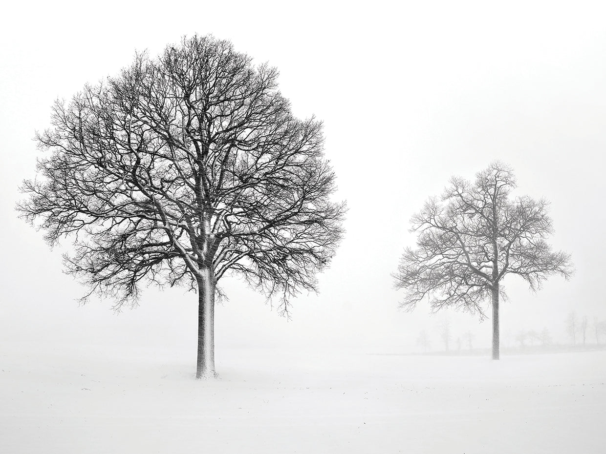 We Grow and Die Together