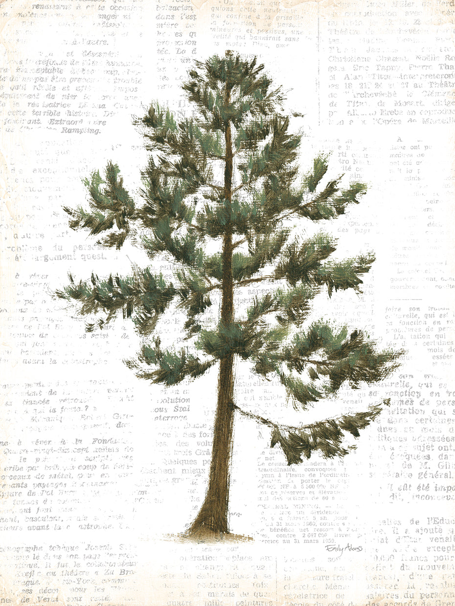 Into the Woods Trees I