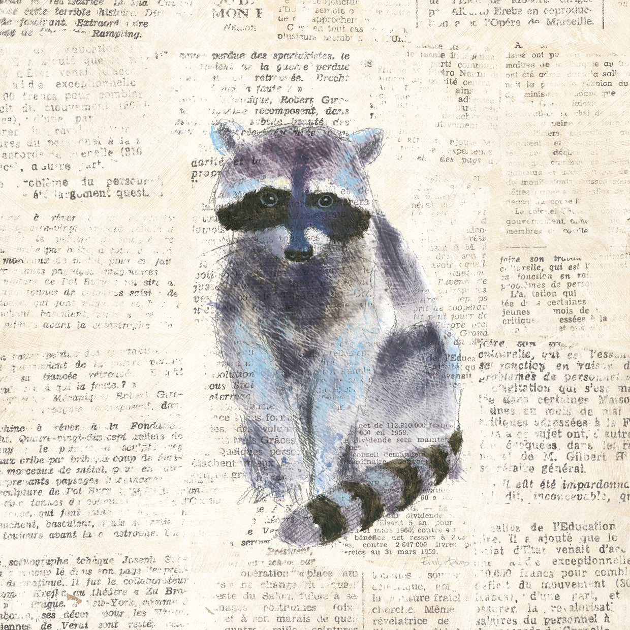 Into the Woods VIII no Border