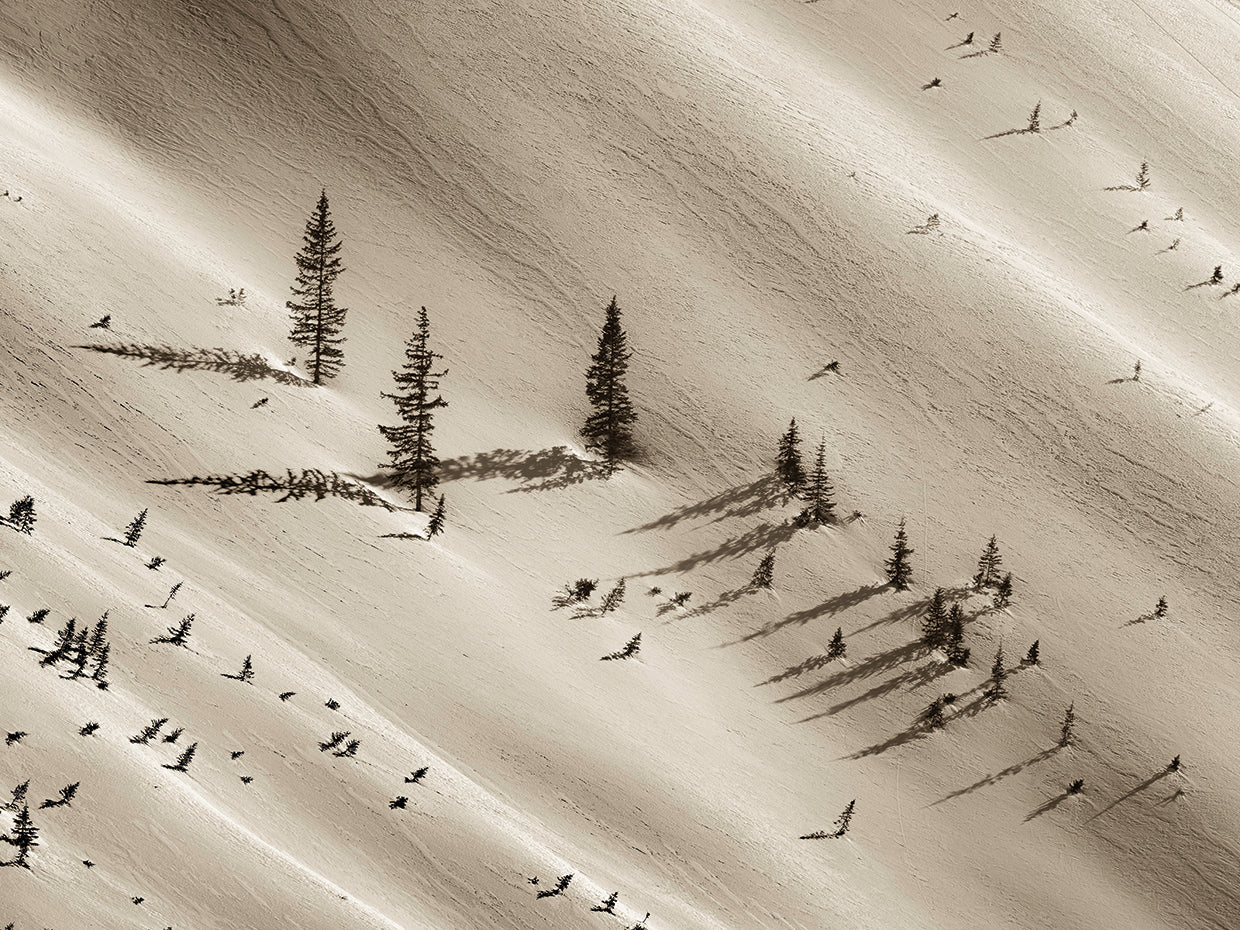 Long Shadows, Silverton CO