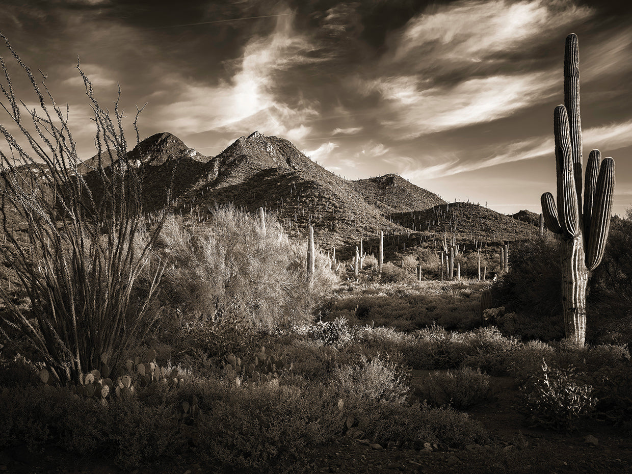 Spur Cross Ranch, Cave Creek AZ