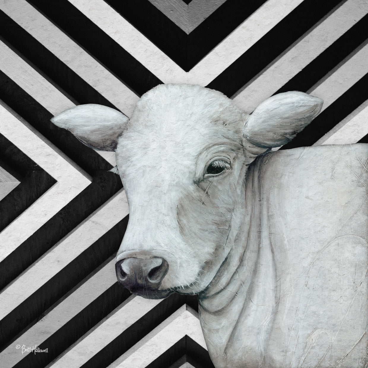 January Cow II