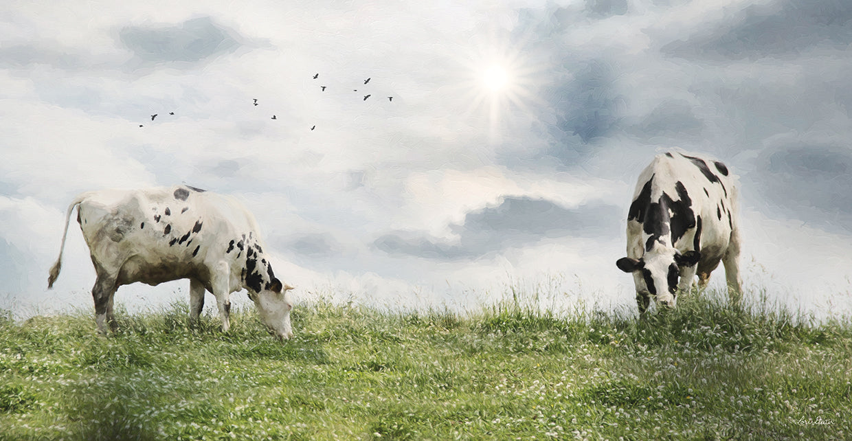 Grazing Dairy Cattle