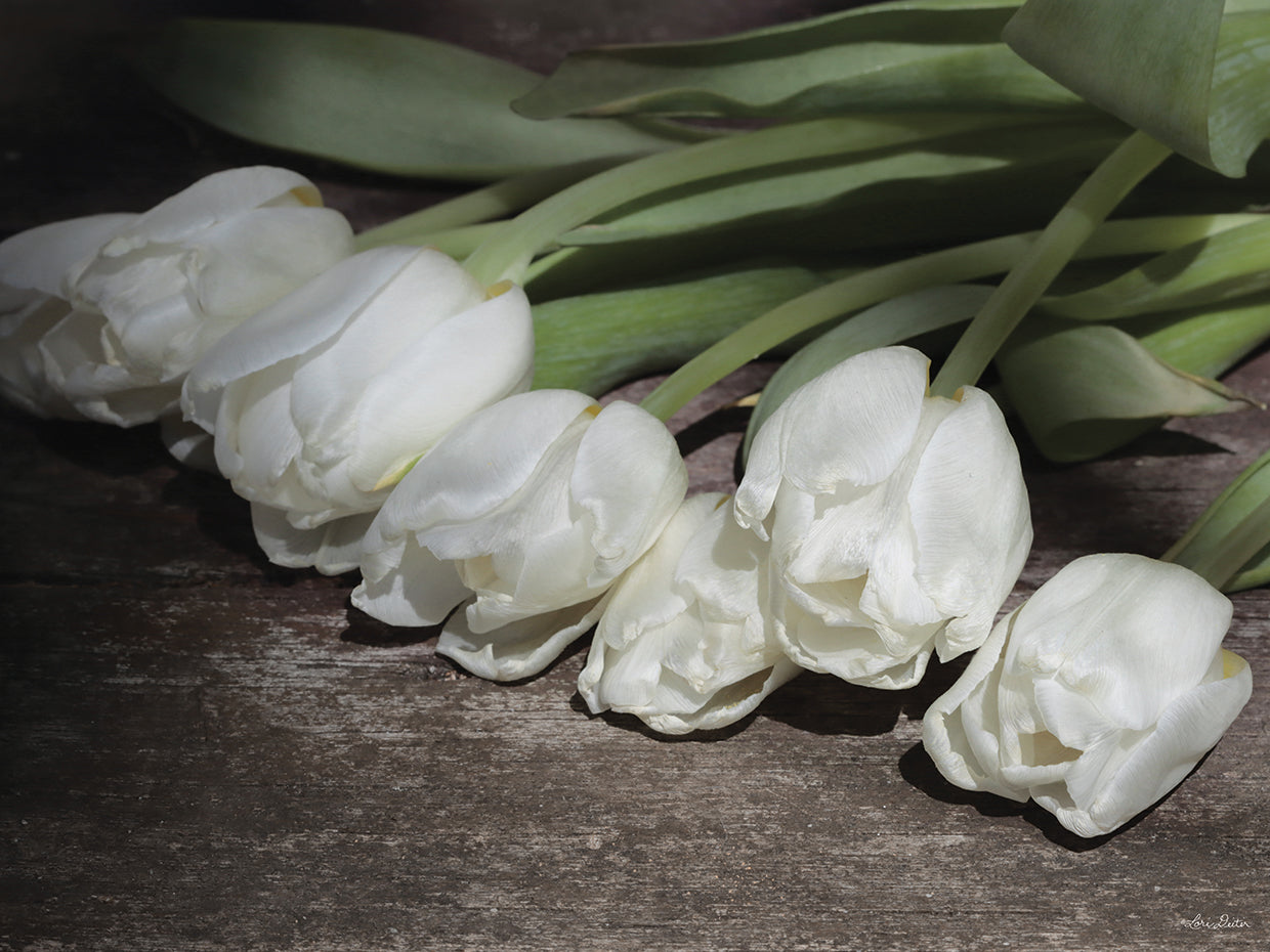 Tulipanes recolectados Lienzo
