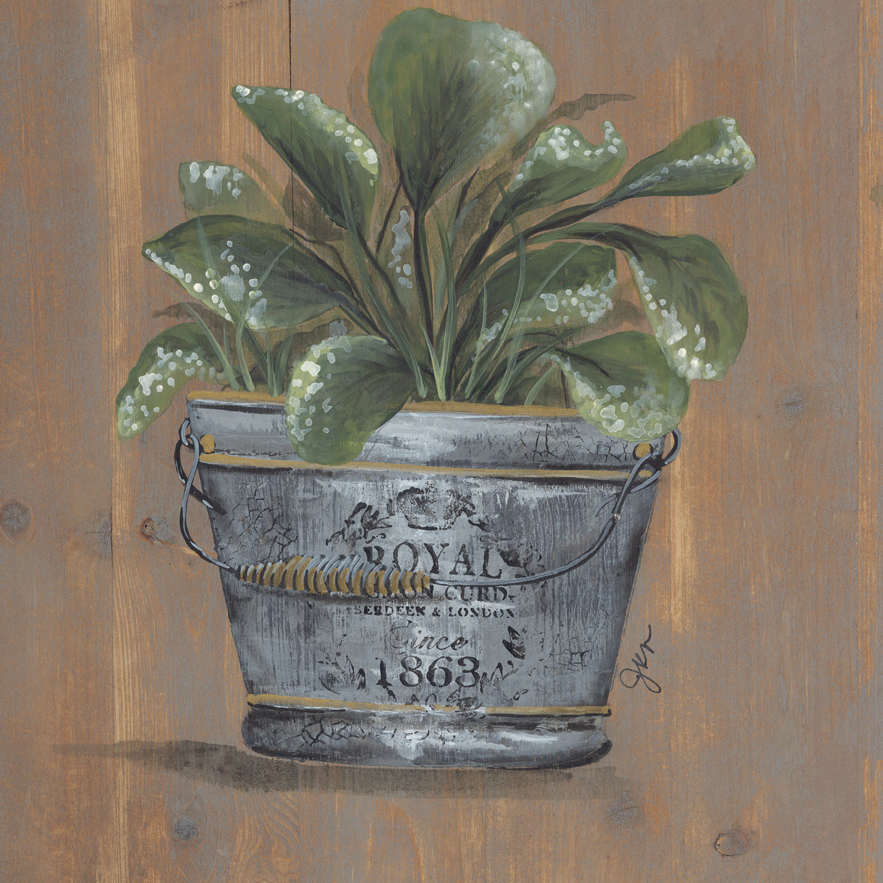 Pretty Plant in Pail