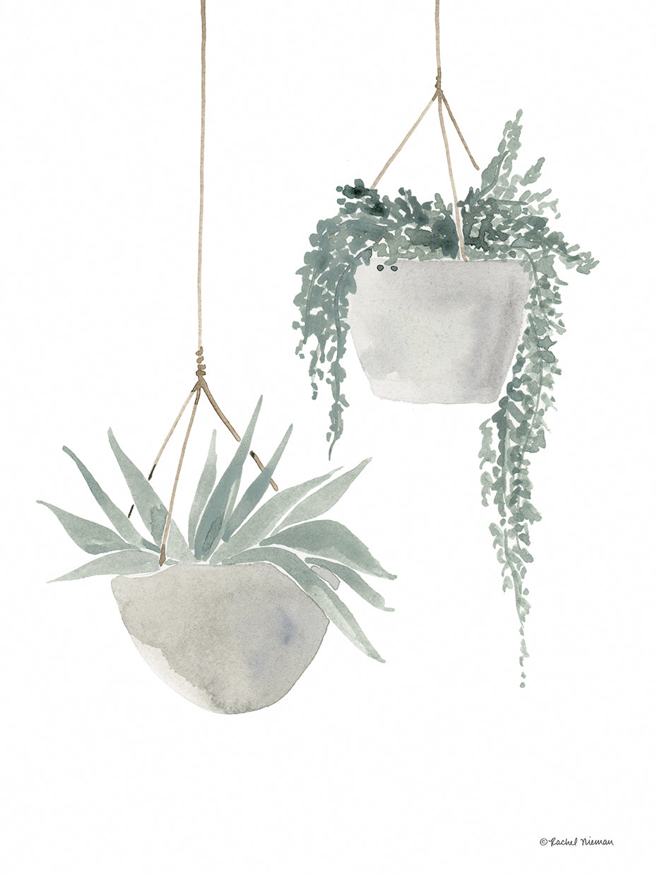 Sage Hanging Planters