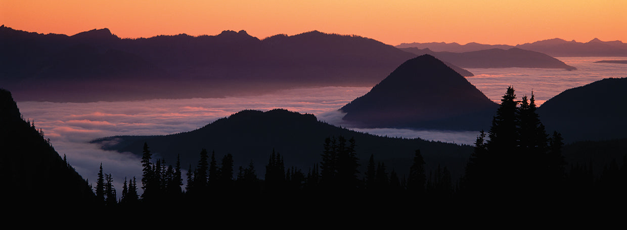 Mt. Rainier Mist