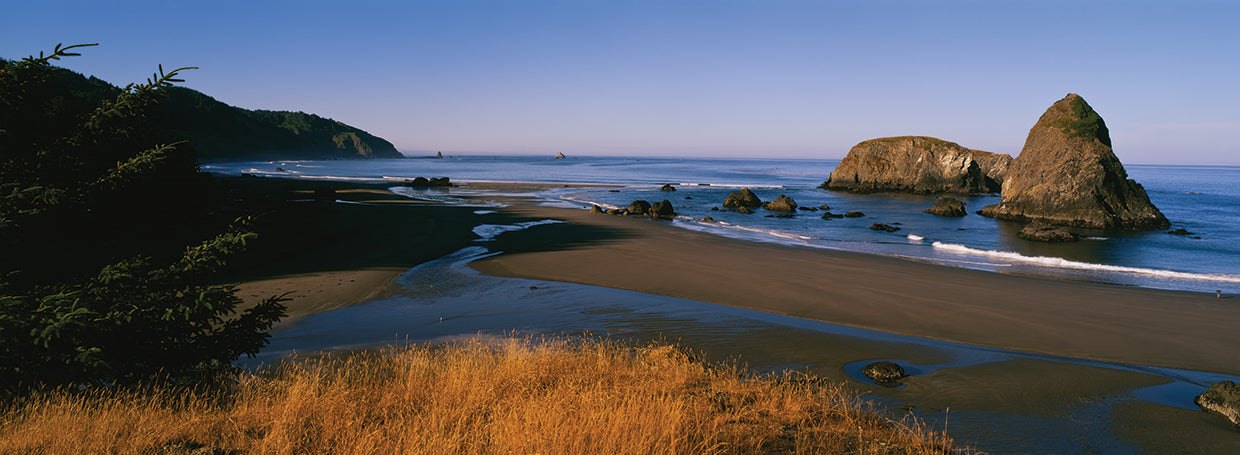 Playa Rocky Cannon Lienzo