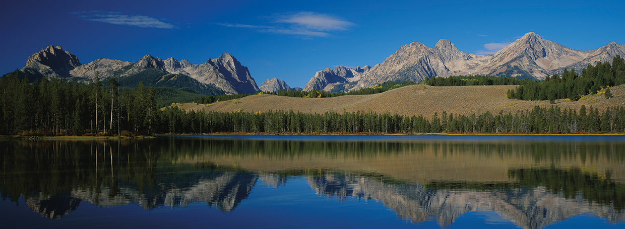 Sawtooth Reflections