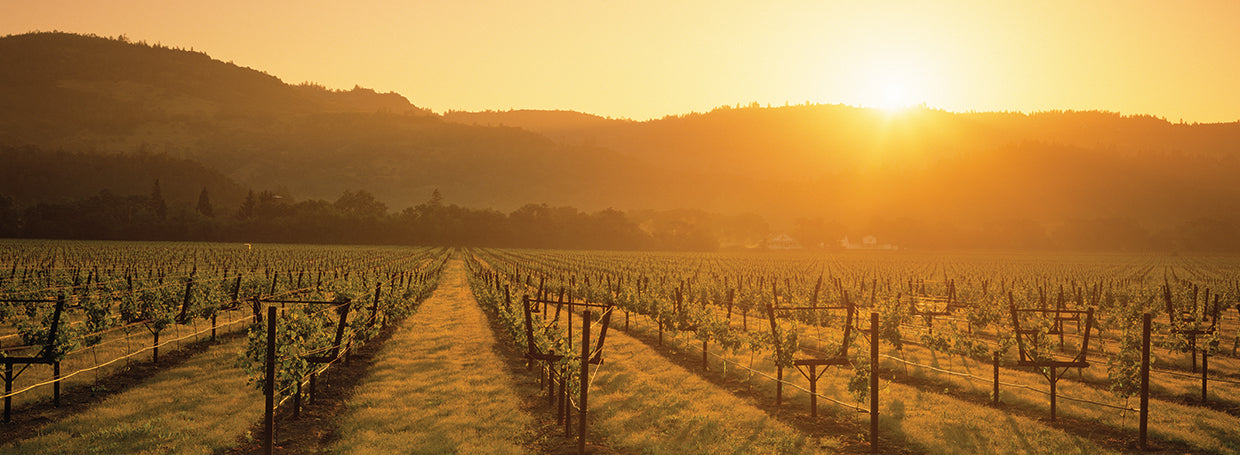 Puesta de sol de Napa Lienzo