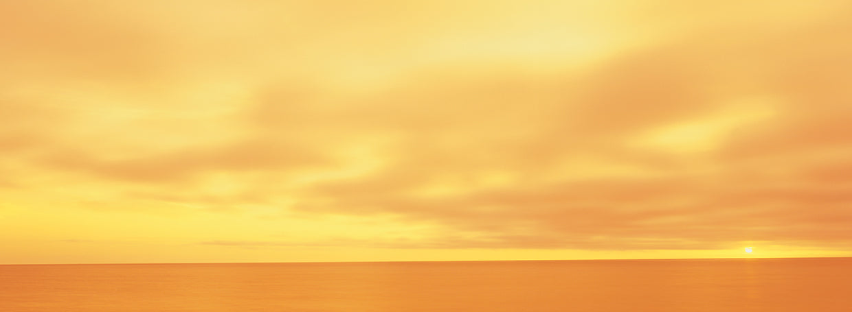 Yellow Sunset