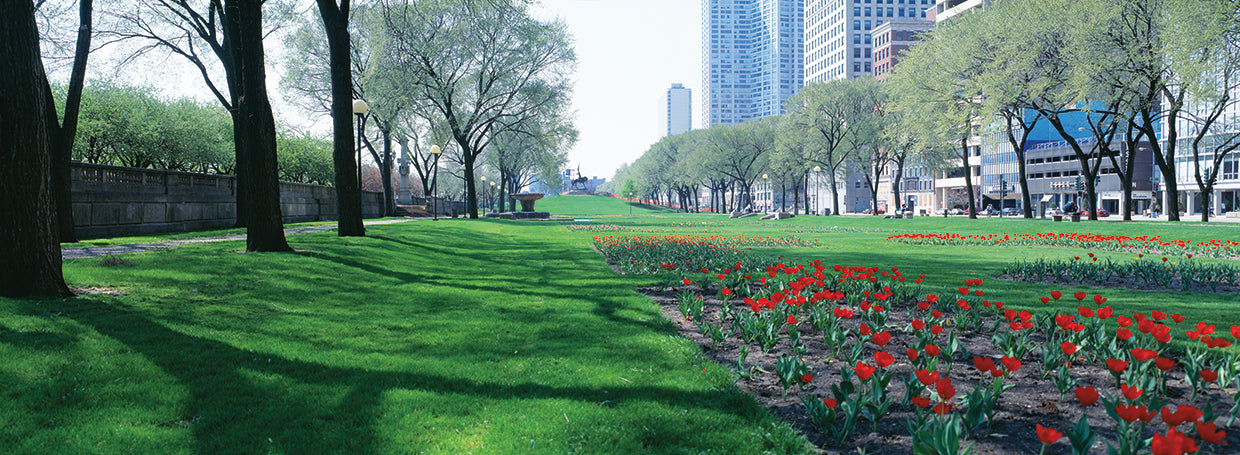 Jardines de chicago Lienzo