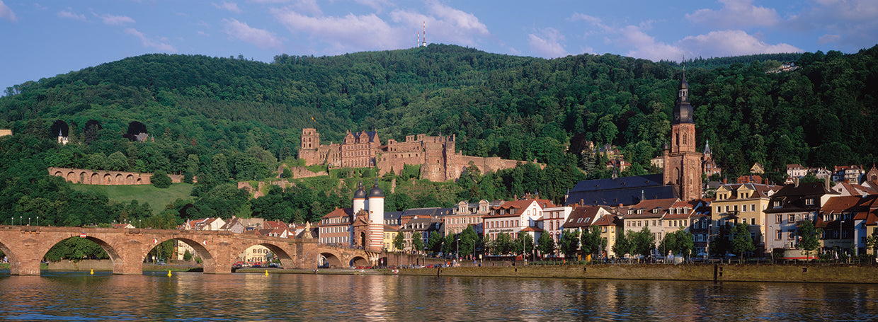 Vistas al río Neckar Lienzo