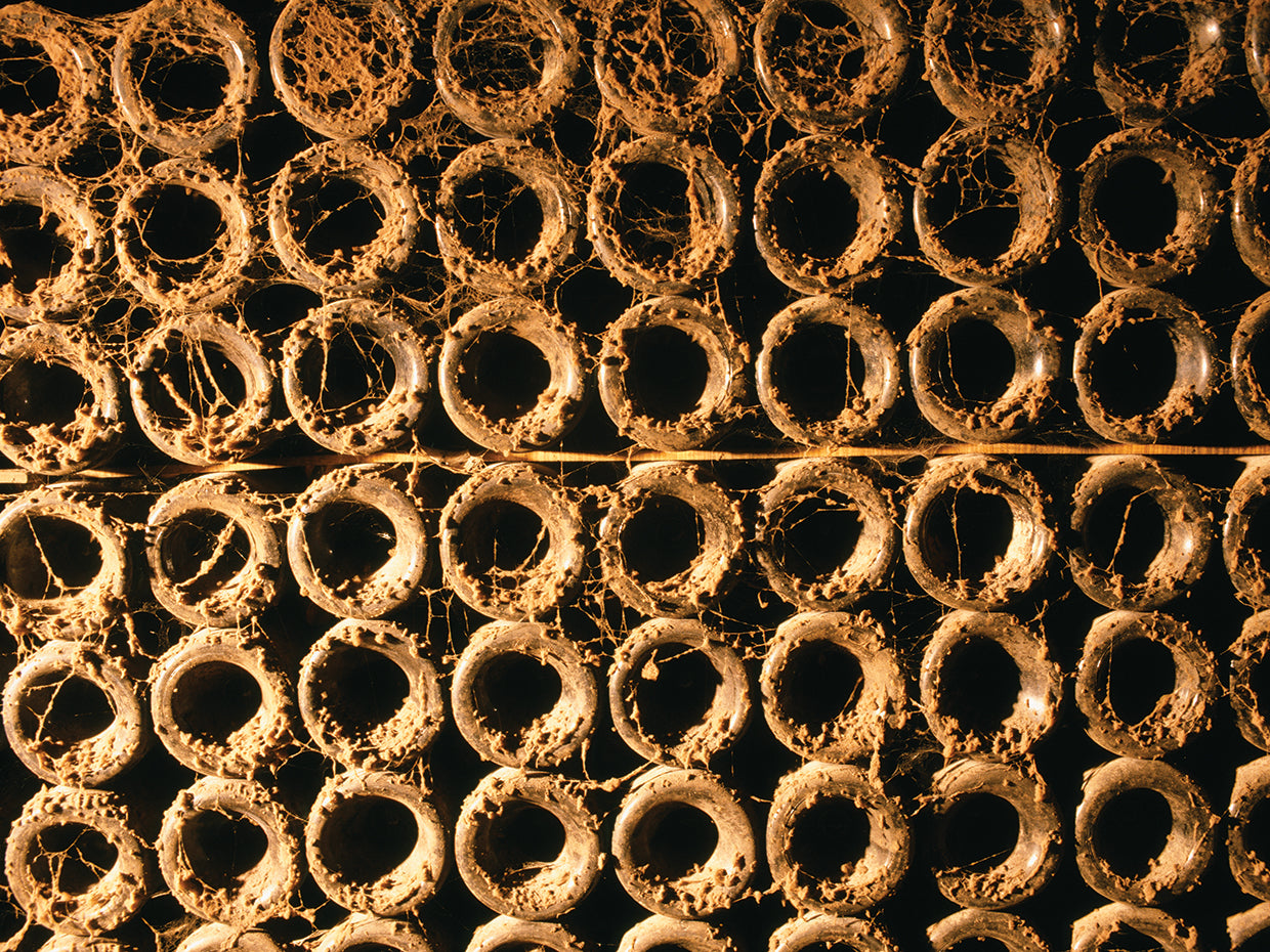 Bodega francesa Lienzo