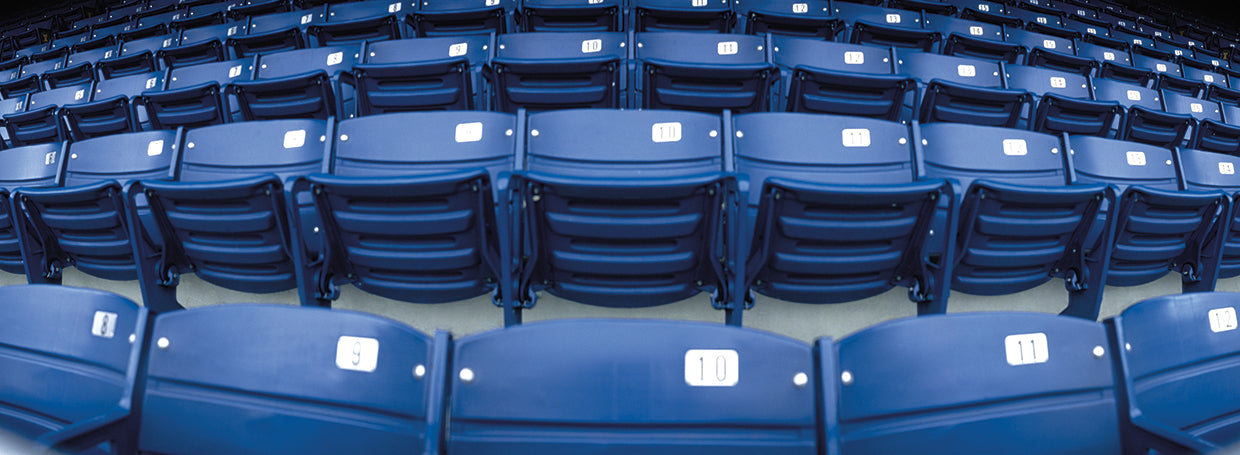 Asientos del estadio Shea Lienzo