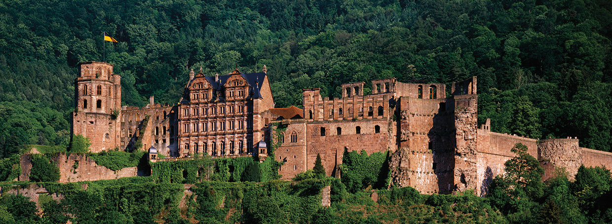 Arquitectura del castillo alemán Lienzo