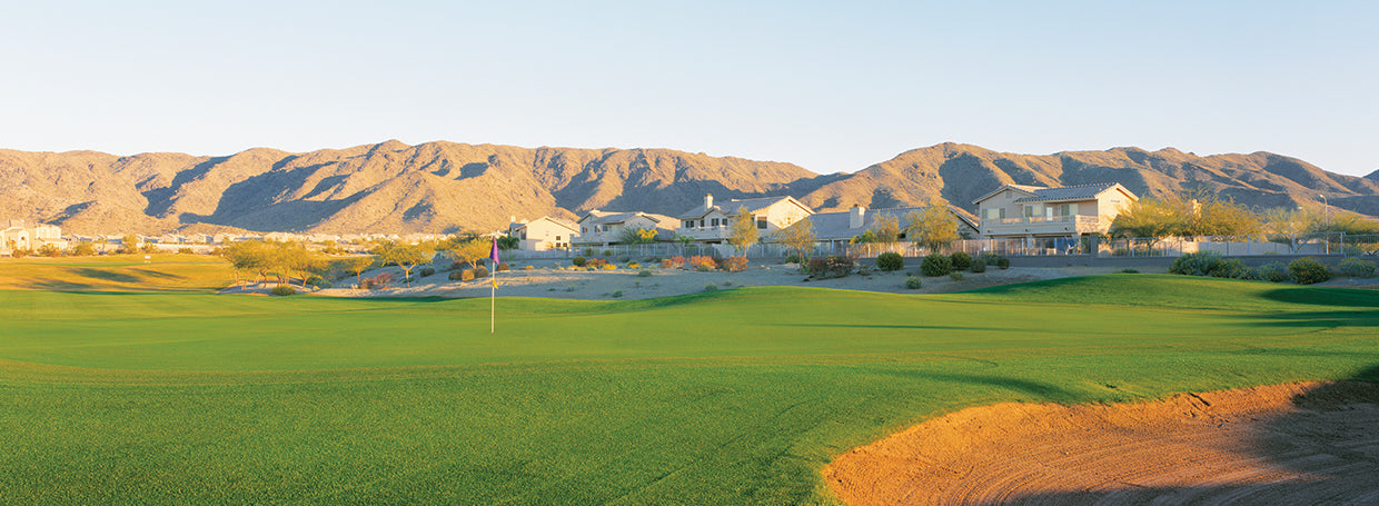 Phoenix Golfing
