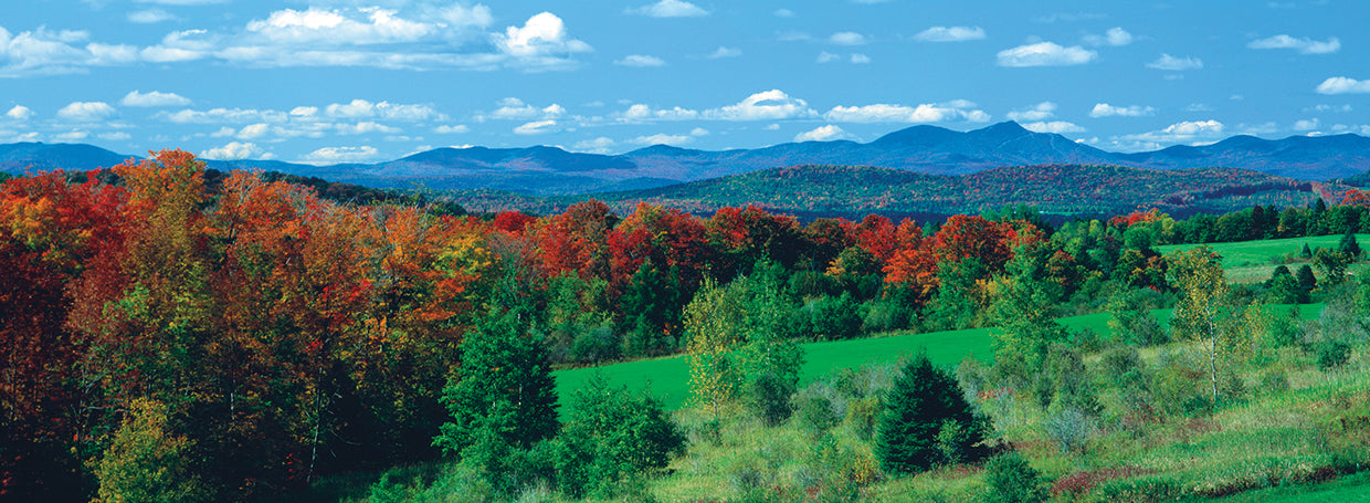 Autumn in Vermont