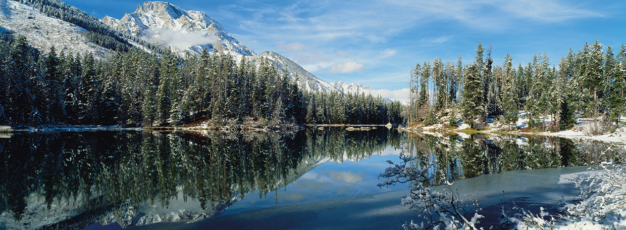 Reflexiones del árbol de Yellowstone Lienzo