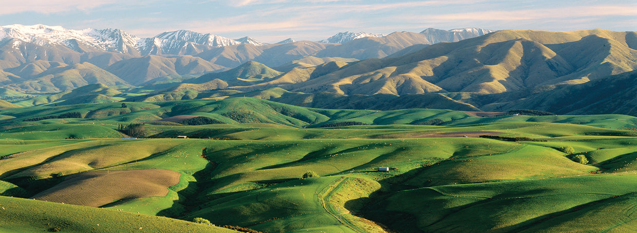 Rolling Hills de Nueva Zelanda Lienzo