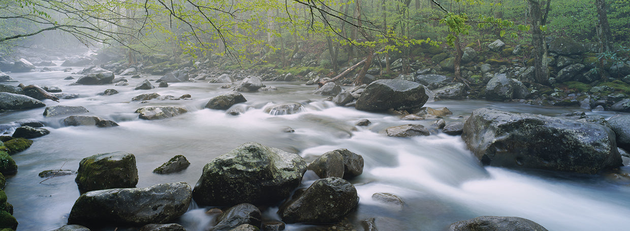 Río Tennessee Lienzo
