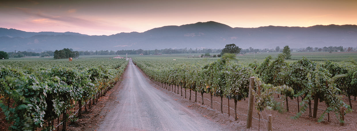 Napa Valley Roads