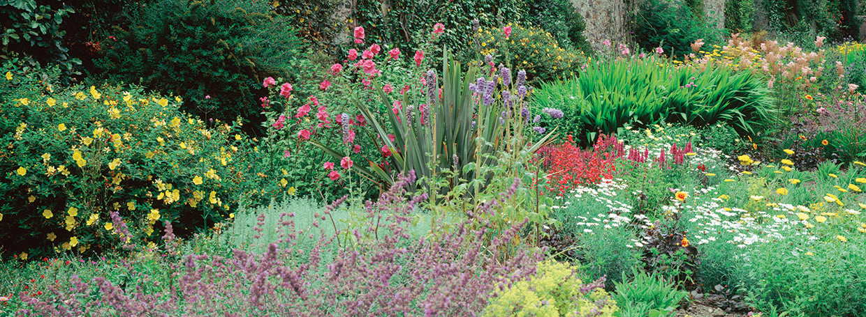 Jardín en Gales Lienzo