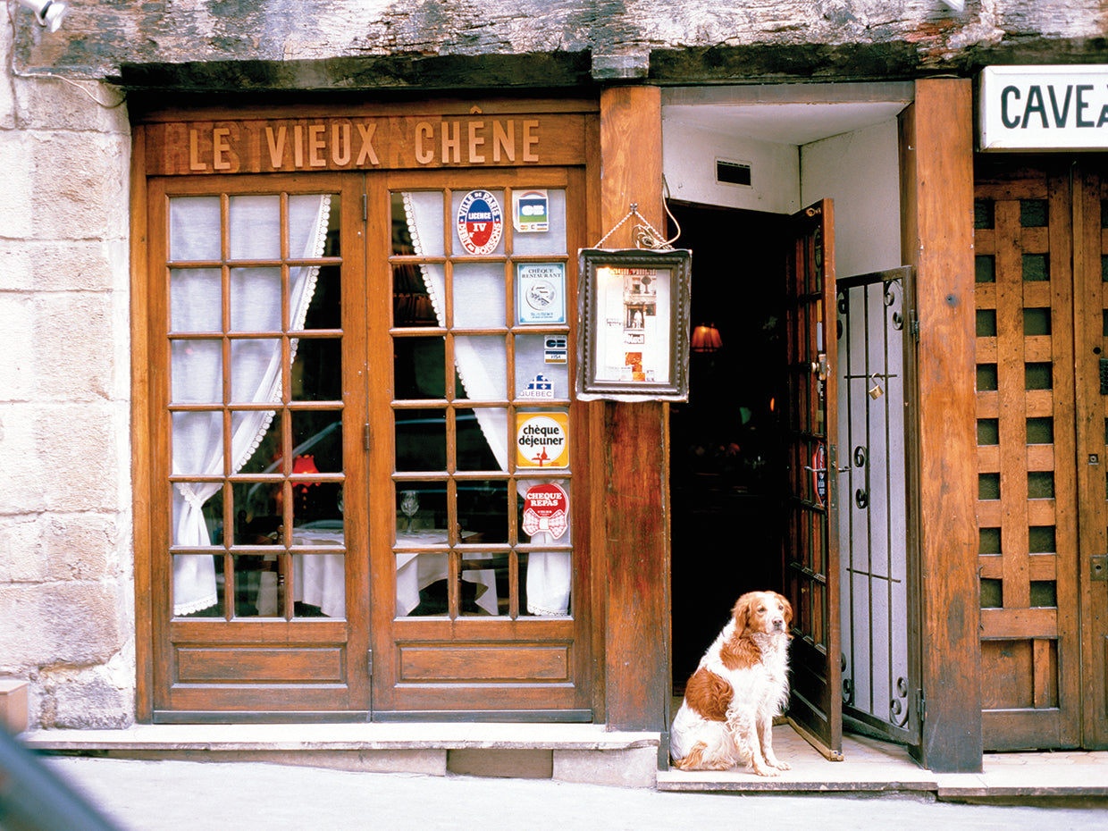 Dulce puerta parisina Lienzo