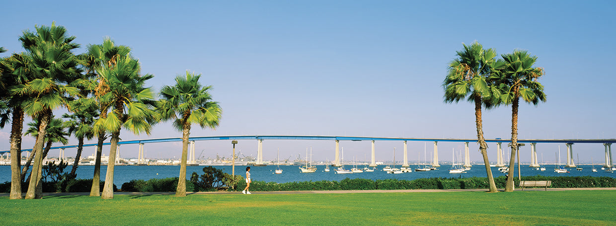 Costa de la bahía de Coronado Lienzo