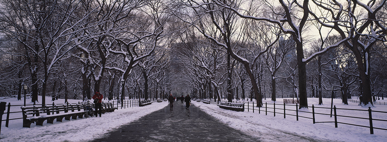 Paisaje invernal de Central Park Lienzo