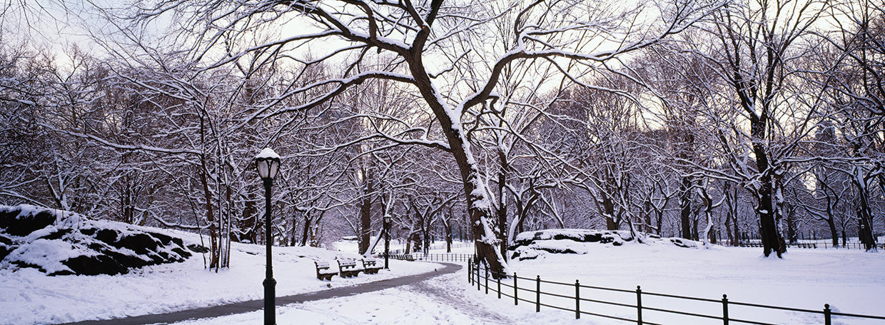 Nieve en Central Park Lienzo