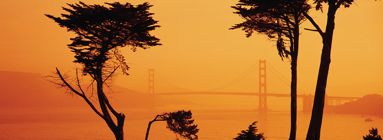 Mañana naranja, Golden Gate Lienzo