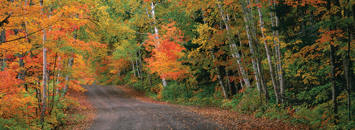 Keweenaw Country Autumn
