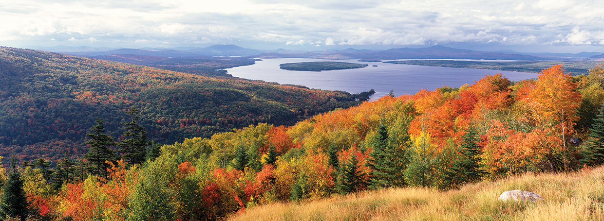 Mooselookmeguntic Colors