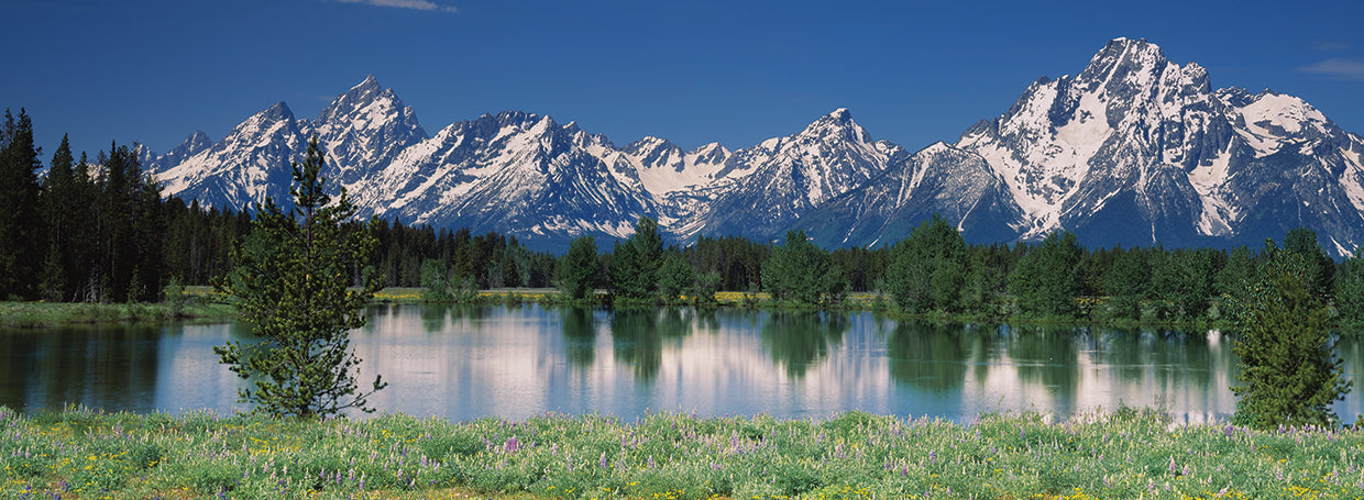 Hermosas montañas Grand Teton Lienzo