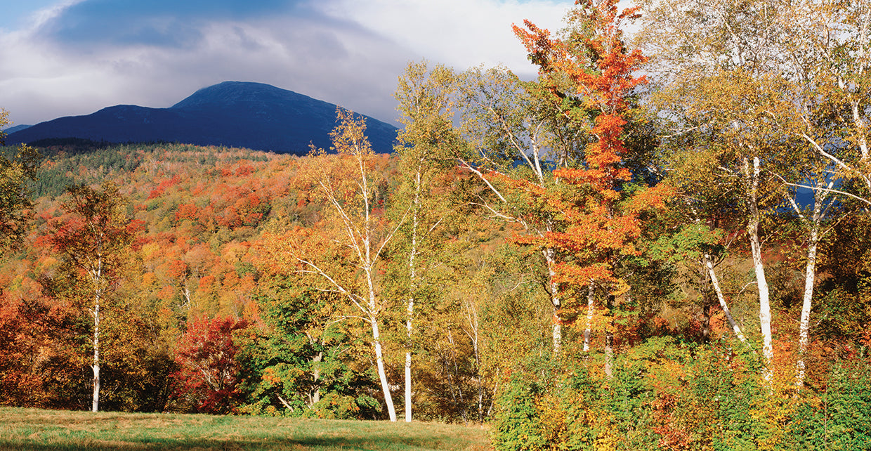Autumn in New Hampshire
