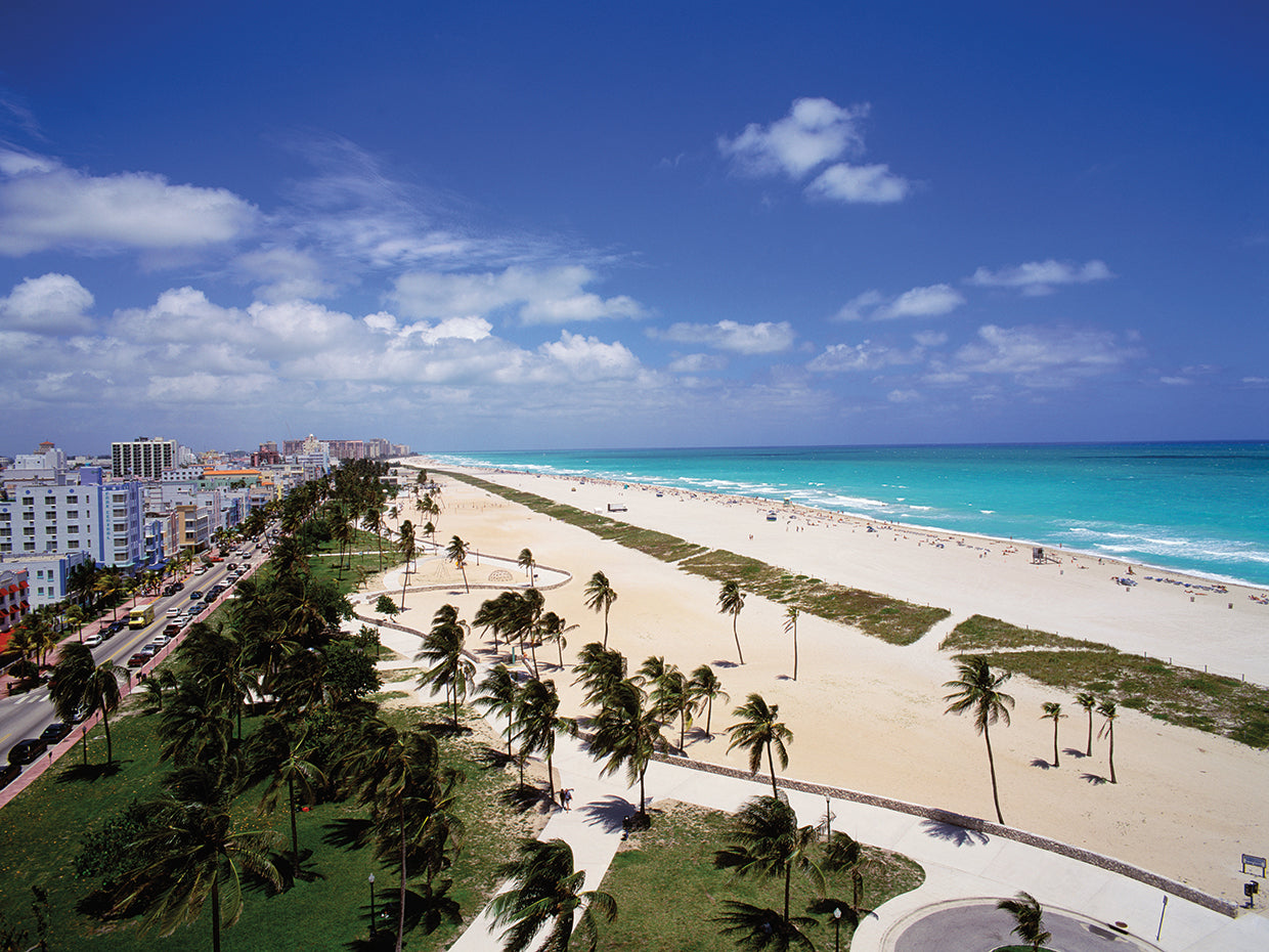 Espumoso South Beach Lienzo