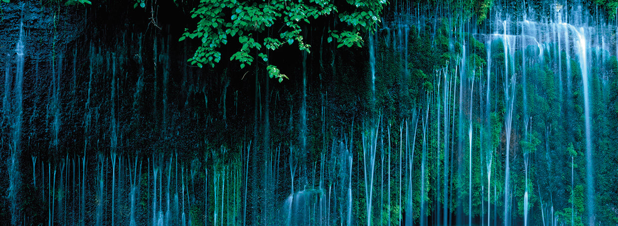 Cataratas de Shiraito, Japón Lienzo